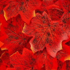 Искусственные кленовые листья "Золотая осень", красные, 250 г (9230-005)