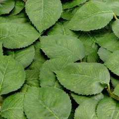 Искусственные листья розы, зелёные, 250 г (9230-010)