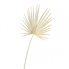 Лист декоративний, бежевий (8725-043)