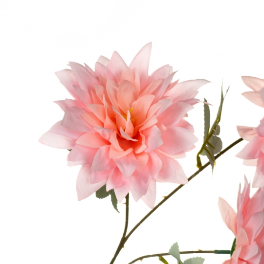 Хризантема, рожева (8725-045)