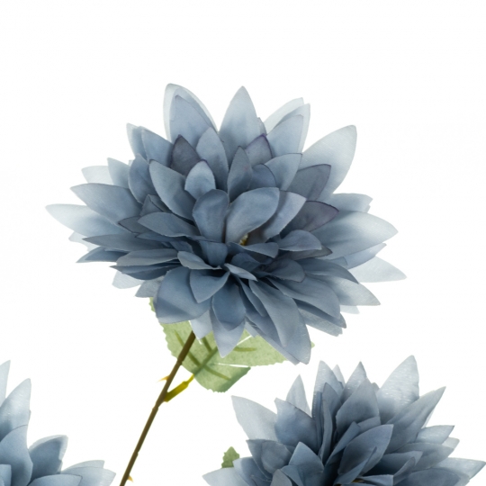 Хризантема, блакитна (8725-046)