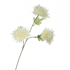 Хризантема, белая (8725-047)