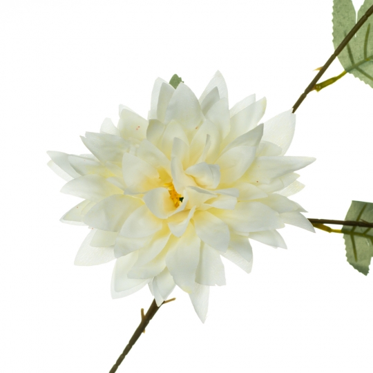 Хризантема, біла (8725-047)