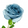 Роза, блакитна (8725-049)