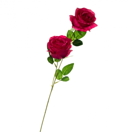 Роза, червона (8725-050)