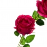 Роза, червона (8725-050)