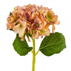 Букет "Гортензия комнатная" оранжевая (8114-012)