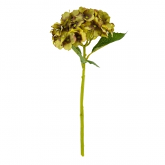 Букет "Гортензия комнатная" салатовая (8114-013)