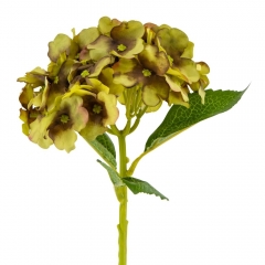 Букет "Гортензия комнатная" салатовая (8114-013)