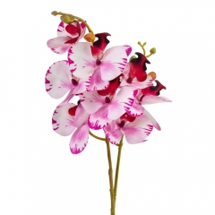 Орхидея 56 см. * Рандомный выбор дизайна (8701-016)