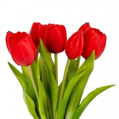 Букет тюльпанов "Весеннее наслаждение", красный, 30 см (9129-002)
