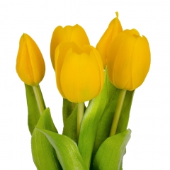 Букет тюльпанов "Весеннее наслаждение", желтый, 30 см (9129-008)