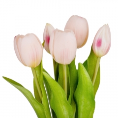 Букет тюльпанов "Весеннее наслаждение", розовый, 30 см (9129-009)