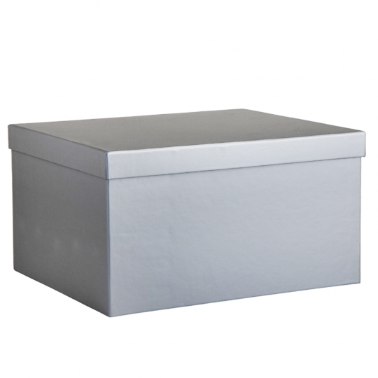 УЦІНКА Набір з 10 коробок "Срібло", 25*30*16,5 см  (Прим'ята верхня коробка) (00BR-9007-001)