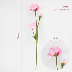 Штучний ірис, рожевий, 80 см (2026-030/pink)
