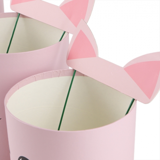 Набір із трьох коробок "Мила кішечка", рожевий (8929-014)