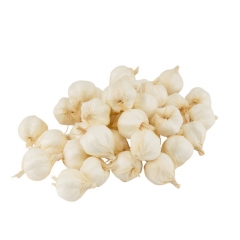 Набор искусственного чеснока, 50 шт, белый, 3 см (9223-029)