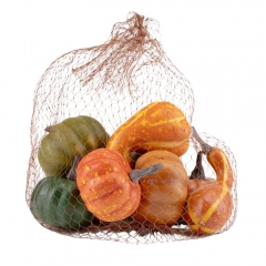 Набір декоративних гарбузиків "Осінній мікс", 10 шт, 11,5 см (9223-039)