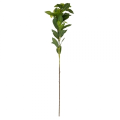 Искусственная ветка фикуса, зелёная, 79 см (9226-008)