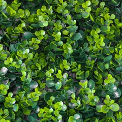 Декоративная панель из искусственной зелени "Самшит", 50*50 см (2017-001)