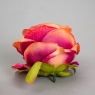 Головка троянди 7 див. (8502-009)