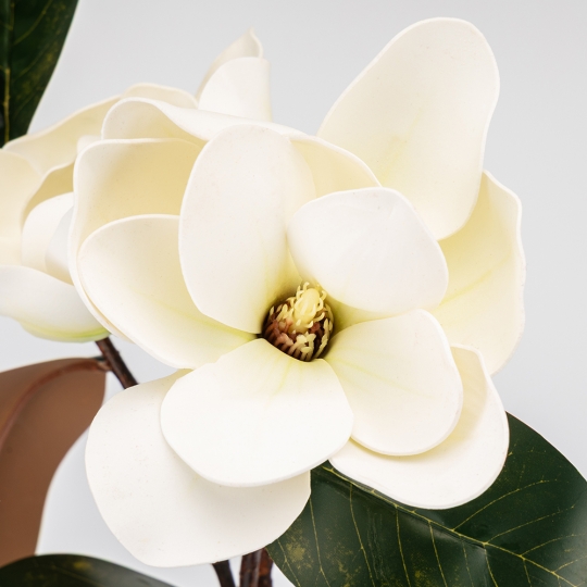 Латексна магнолія, біла, 95 см ВРЯТОВАНА ПОЗИЦІЯ (9259-035) Латексна магнолія, біла, 95 см ВРЯТОВАНА ПОЗИЦІЯ (9259-035)