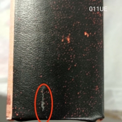 УЦІНКА Книга-сейф "Тарас Шевченко" (Надірваний край,потертість) (00BR-011UE)