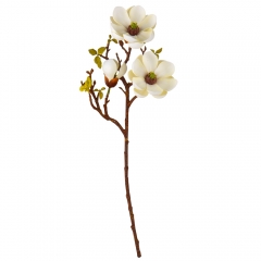 Магнолия "Аврора", кремовая, 74 см (9160-037)