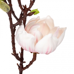 Магнолия "Аврора", кремовая, 74 см (9160-038)