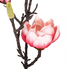 Магнолия "Фелисия", розовая, 70 см (9160-057)