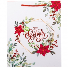 Подарочный пакет "Зимняя сказка", 26*32 см * Рандомный выбор дизайна (9165-002)