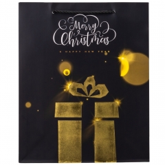 Подарочный пакет "Праздничная феерия", 26*32 см * Рандомный выбор дизайна (9165-005)