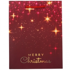 Подарочный пакет "Merry Christmas", 18*23 см * Рандомный выбор дизайна (9165-007)