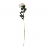 Троянда "Зворушливість", блідо-рожева, 75 см (6018-056)