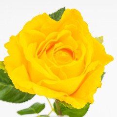 Искусственная роза с эффектом живого прикосновения, желтая, 73 см (2025-003)