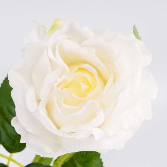 Штучна троянда з ефектом живого дотику, біла, 73 см (2025-004)