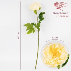Искусственный пион с эффектом живого прикосновения, кремовый, 60 см (2025-007)