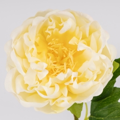 Искусственный пион с эффектом живого прикосновения, кремовый, 60 см (2025-007)