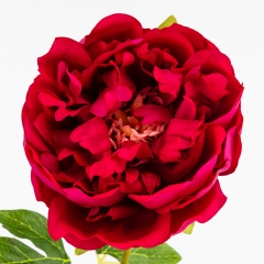 Искусственный пион с эффектом живого прикосновения, розовый, 60 см (2025-008)