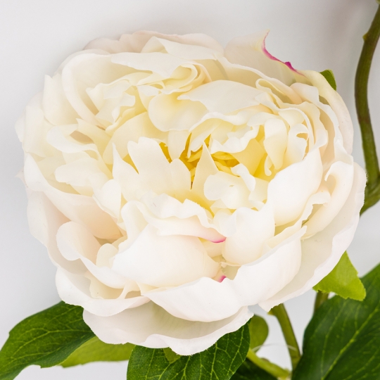 Штучна півонія з 3 бутонами з ефектом живого дотику, біла, 80 см (2025-009) Штучна півонія з 3 бутонами з ефектом живого дотику, біла, 80 см (2025-009)