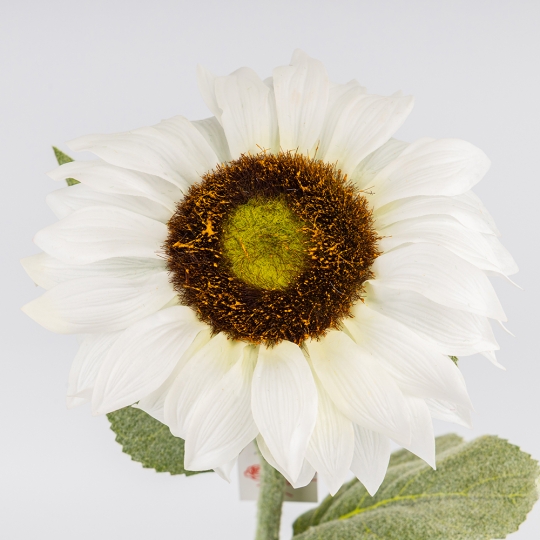 Штучний соняшник з ефектом живого дотику, білий, 62 см (2025-013)