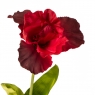 Квітка штучна "Ірис", червона (2000-012RD)