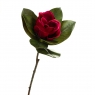 Квітка магнолії, червоний (8721-015)