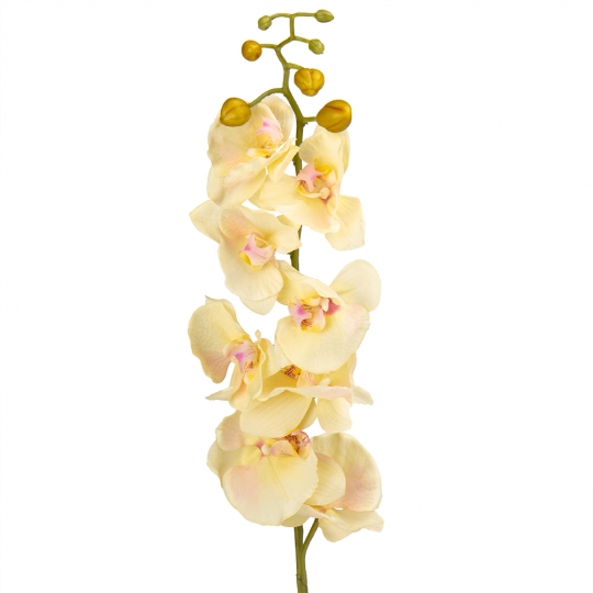Орхідея (90 см, силікон) (крем) (034F/cream)