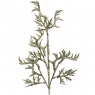 Декоративна квітка "Хризоліт" (6019-063)