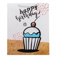 Подарочный пакет "Birthday girl", 26*32 см * Рандомный выбор дизайна (9100-003)