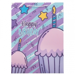 Подарочный пакет "Яркий праздник", 31*42 см * Рандомный выбор дизайна (9100-008)