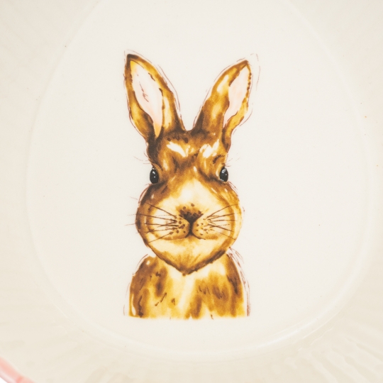 УЦІНКА Тарілка Казковий кролик (дефект заливки або фарбування цятки) (4002-001)